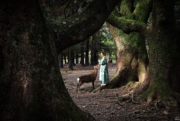 Japan_Sakura_2025 (10/79)